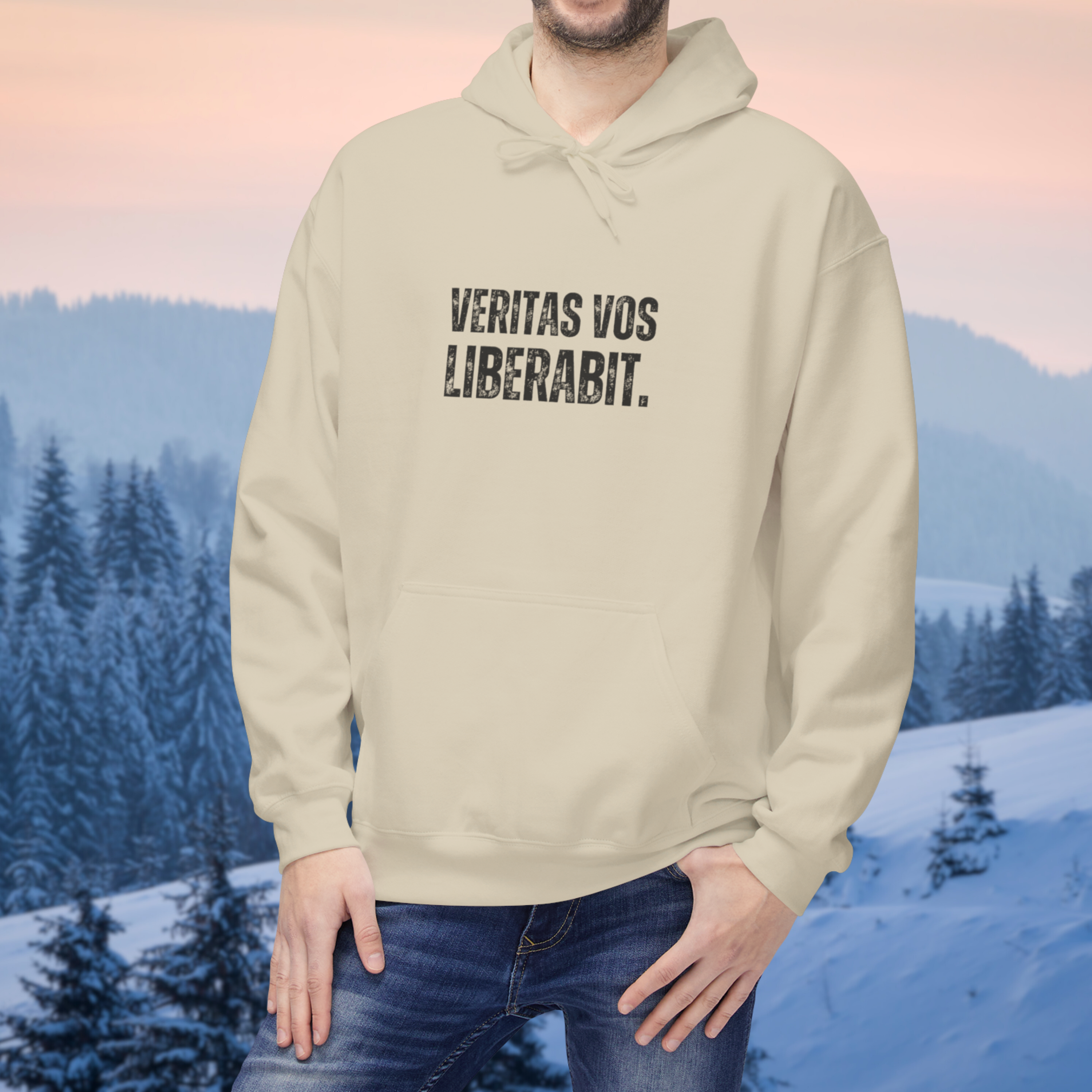 Ancient Quotes Fleece Hoodie | Veritas Vos Liberabit - Mythos Design
