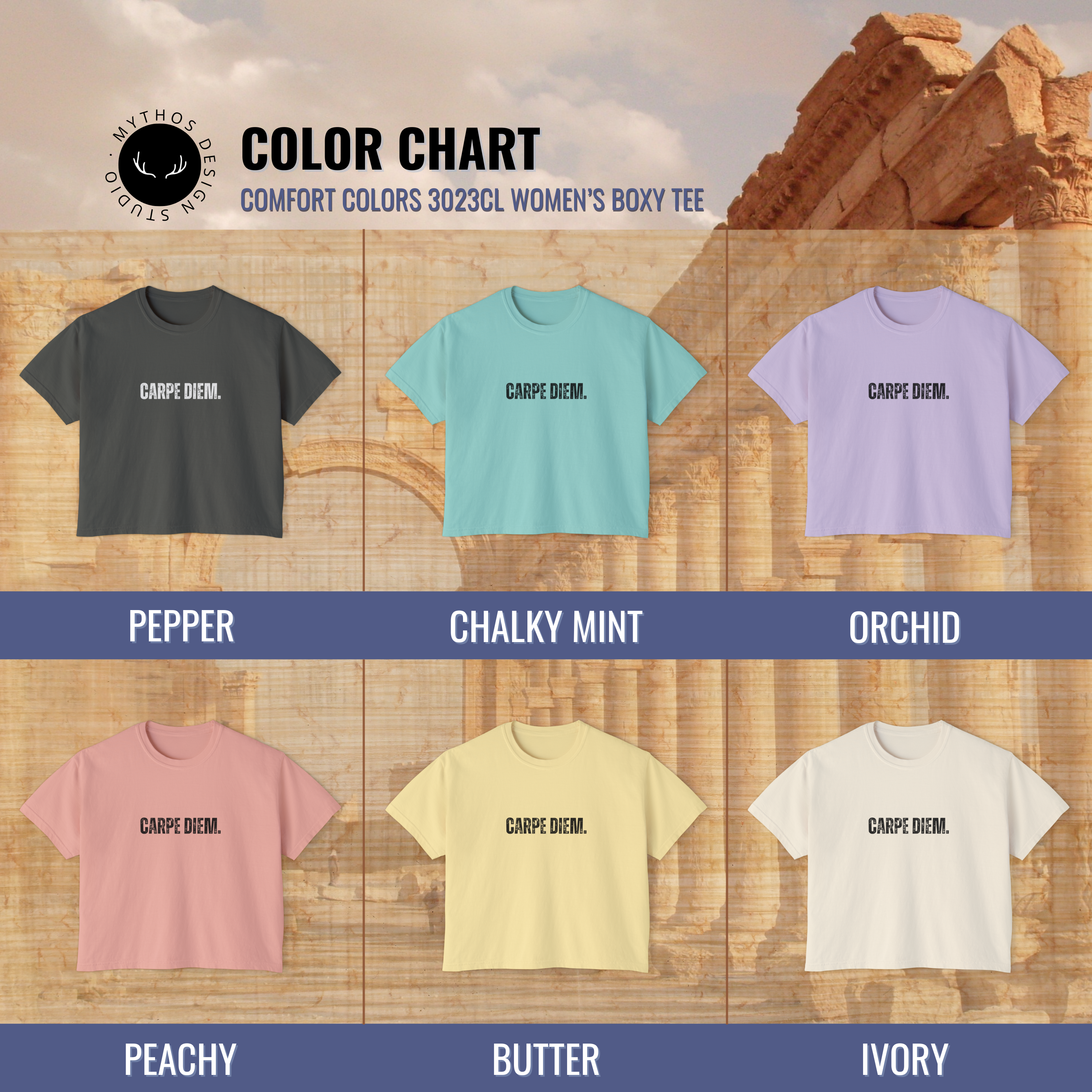 Carpe Diem Seize the Day T-Shirt | Motivational Boxy Tee - Mythos Design